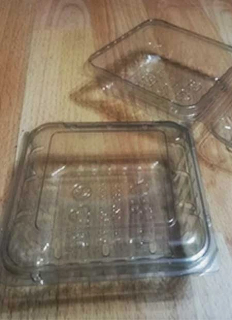 AgroCoba Categoría- ENVASES PET AIRPACK VENTILADO PARA FRUTAS